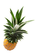 beautiful juicy ripe pineapple top view on white background