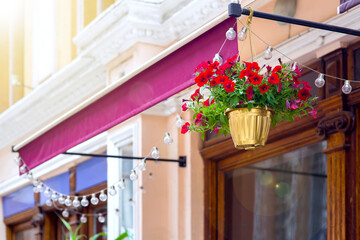 Fototapeta na wymiar hanging golden flowerpot with blooming petunia on the visor at the facade of the building is an architectural element of the decor of the terrace of a street cafe, nobody.