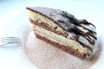 Piece of cake with cocoa and powdered sugar on a white plate