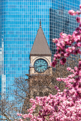 Colonial clock tower of the Old City Hall, Toronto, Canada