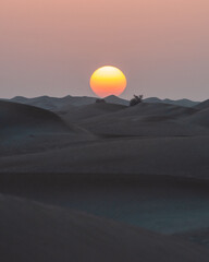 A  view of desert dunes at sunset