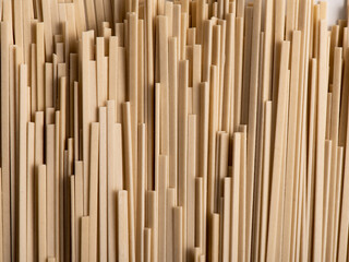 Raw whole grain spaghetti. Raw ramen noodles. Photo for site.