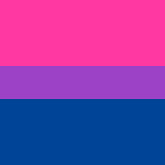 Vector flat bisexual pride flag isolated on background