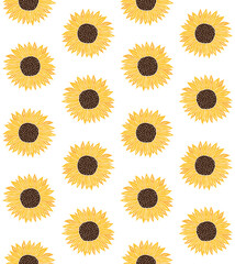 Vector seamless pattern of hand drawn doodle sketch colored sun sunflower flower isolated on white background