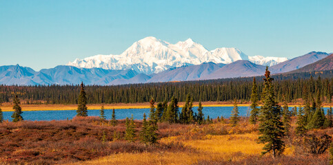 the majestic snow capped  mt. denali on a clear blue autumn day.