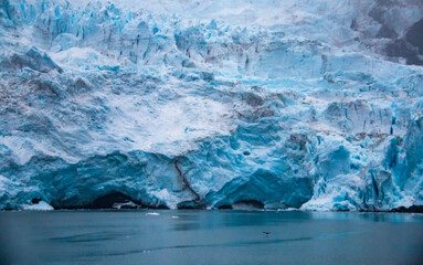 Fototapeta na wymiar bluish glacier field in Kenai Ffjords national park in Alaska.