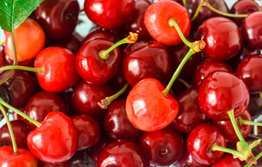 Close up of pile of ripe cherries with stalks and leaves. Large collection of fresh red cherries. Ripe cherries background.