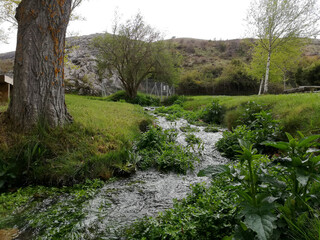 Small river track of the picnic area of Pedro, Soria