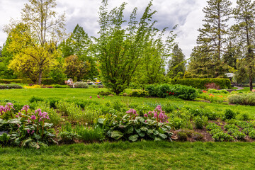 Perennial Gardens At Manito Park, Spokane, Washington.