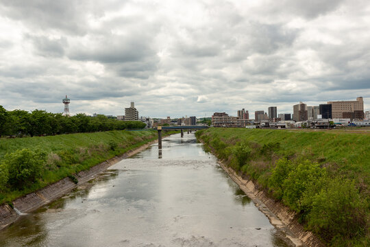 Muko Bilder Durchsuchen 322 Archivfotos, und Videos