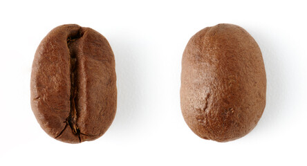 Roasted coffee beans