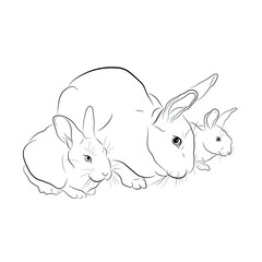 Vector illustration. A sketch of a rabbit with cubs. EPS 8