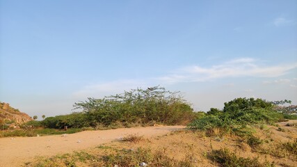 NATURAL GREEN PLANTS BACKGROUND