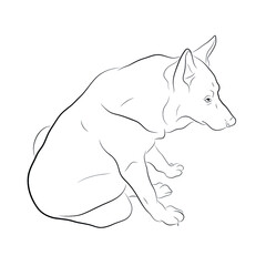 Vector illustration. Dog sketch.EPS 8