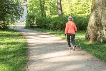 Nordic walking for the elderly. Grandma is walking in the park. Active rest for grandparents.