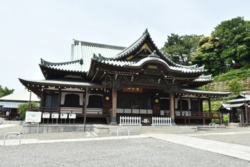 Fototapeta premium 池上本門寺