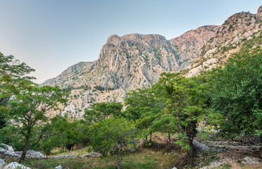 Fototapeta na wymiar Lovcen Mountain surrounded by beautiful green trees and blue sky, Kotor,Montenegro.