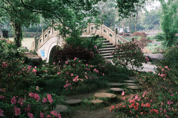 Naklejka premium Early spring scenery of Moshan Rhododendron Garden in East Lake, Wuhan, Hubei, China