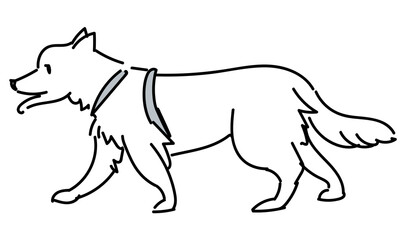 ウォーキングするペットの犬