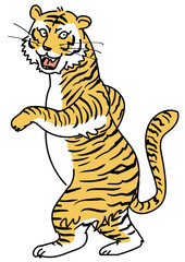 ウォーキングする虎-振り向く