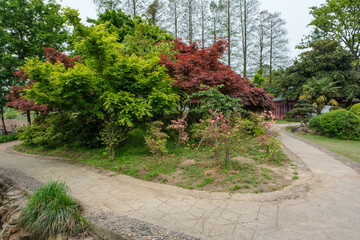 Obraz premium Early spring scenery of Moshan Bonsai Garden in East Lake, Wuhan, Hubei