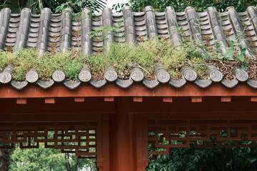 Early spring scenery of Moshan Bonsai Garden in East Lake, Wuhan, Hubei