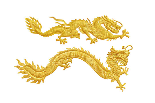  Golden Dragon isolated