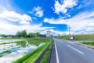 夏空と歩きたくなるような懐かしい道。