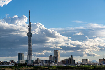 荒川河川敷散策