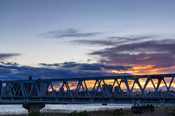 荒川河川敷散策