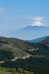 Fototapeta premium 笠雲をさした富士山 (日本 - 静岡 - 達磨山) 