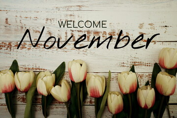 Welcome November text and tulip flower decoration on wooden background