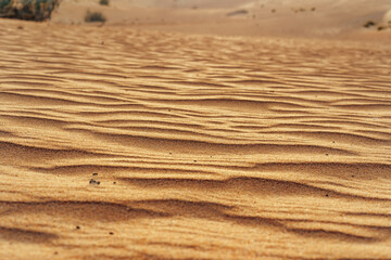 Fototapeta premium Wavy sand texture in Dubai desert close up
