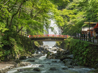 箕面大滝