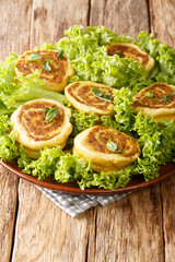 Fleischschnacka snails of meat, this French recipe from the Alsace serve with green salad close-up in a plate on the table. Vertical