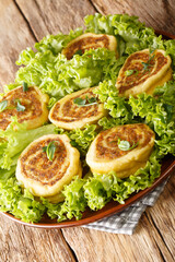 Fleischschnacka Traditional Ground Meat Dish From Alsace close-up in a plate on the table. Vertical
