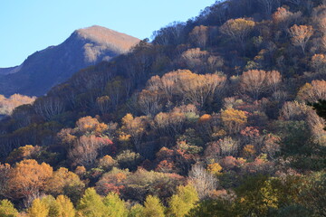 Fototapeta na wymiar 裏磐梯の紅葉の向こうに磐梯山が見える