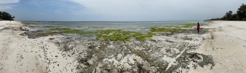 Occean at ebb