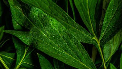 Summer time card concept