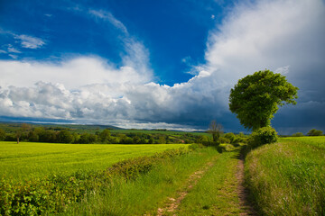 Frühling im Naturpark Morvan im Burgund in Frankreich