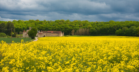 Chateau Faulin im Burgund