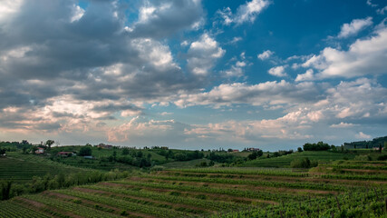 Obraz premium Spring stormy sunset in the vineyards of Collio Friulano, Friuli-Venezia Giulia, Italy
