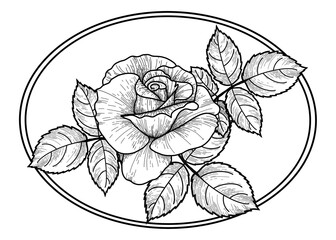 Card with a black and white rose in an oval