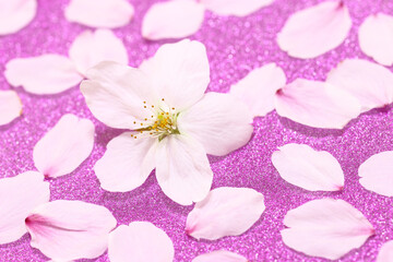 Fototapeta na wymiar 桜の花