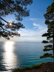 View of the sea through the trees and the boat in the distance