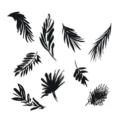 vector silhouettes of leaves set