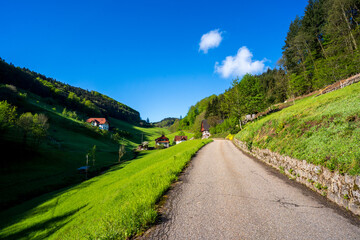 Felsenweg im Schwarzwald bei Ottenhöfen.