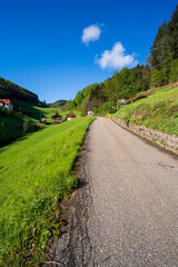Felsenweg im Schwarzwald bei Ottenhöfen.