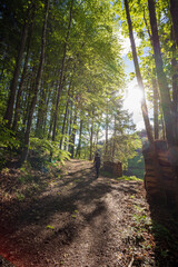 Felsenweg im Schwarzwald bei Ottenhöfen.