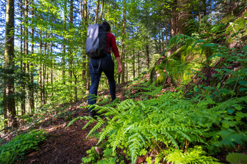 Felsenweg im Schwarzwald bei Ottenh&ouml;fen.